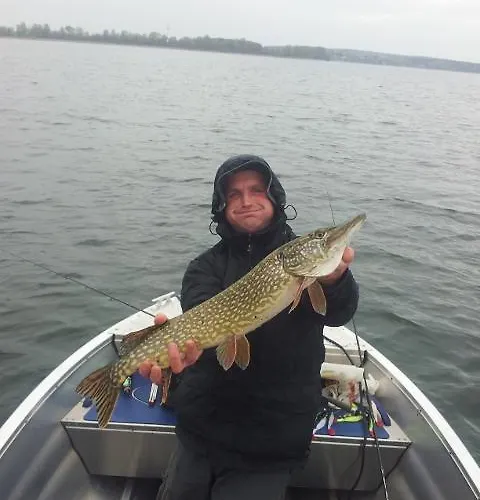 Hotel Osrodek Wypoczynkowo - Szkoleniowy Bogdanka *